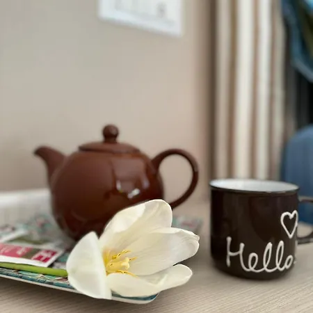 Oda ve Kahvaltı Over The World *